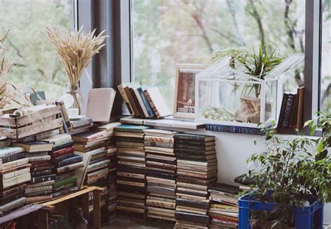 how to store books in storage and why do we need to store them in a safe place